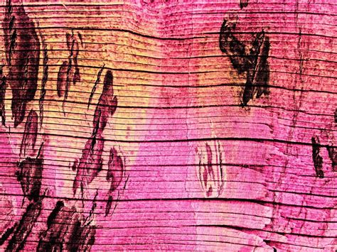 Pink wood texture 3624576 Stock Photo at Vecteezy