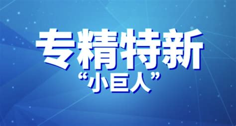 2024年国家级专精特新“小巨人”企业认定申报攻略 知乎