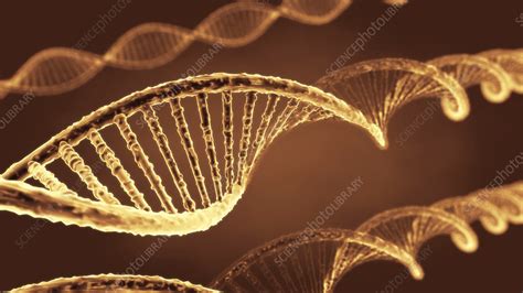 Dna Molecules Illustration Stock Image F025 0524 Science Photo