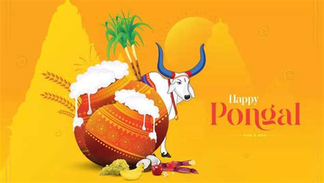 Happy Pongal 2025 Top 50 Wishes Messages And Quotes To Share With