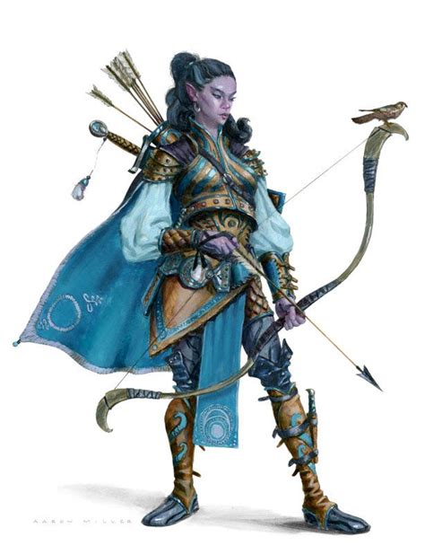 Half Elf Moonranger From The 5e Dungeons And Dragons Players