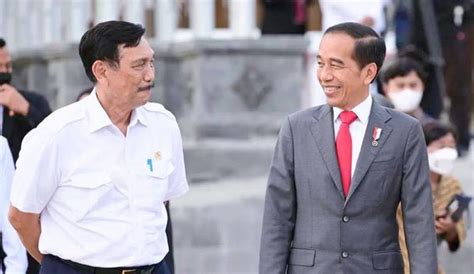 Luhut Bantah Mundur Tetap Loyal Ke Jokowi Jenggala Id