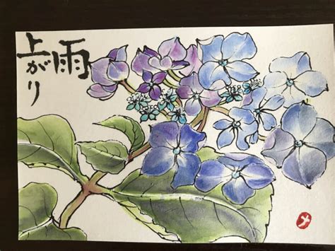 紫陽花 絵手紙 交流ひろば てがみ倶楽部