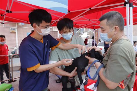 树文明养犬新风 玉塘街道开展“文明养犬，你我同行”系列宣传活动