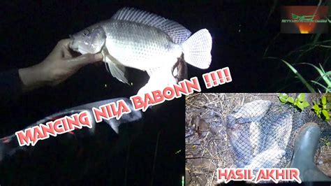 Mancing Nila Ikan Nila Babon Waduk Lahor Malang Youtube