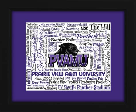 Prairie View Aandm University Panthers Pvamu T Ideas For Graduation