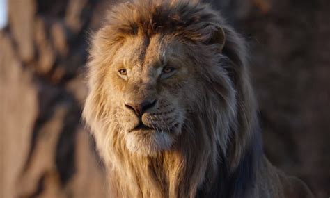 The Lion King Review: Disney’s Photorealistic Remake Is a Disaster ...