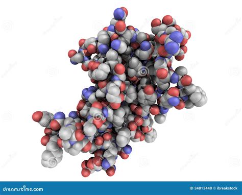 Estructura Química De La Hormona De Crecimiento Humano Hgh Somatotropin M Stock De