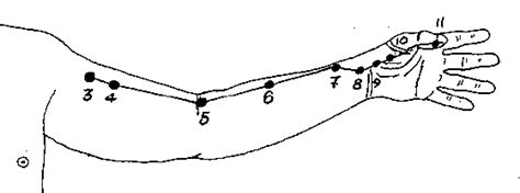 Painful Arm Pressure Points Discover The Top 3 Most Painful And Effective