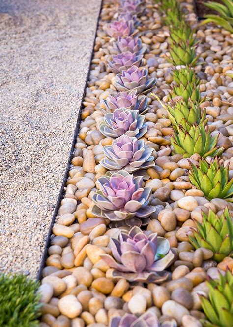 36 Awesome Succulent Front Yard Landscaping Ideas Magzhouse