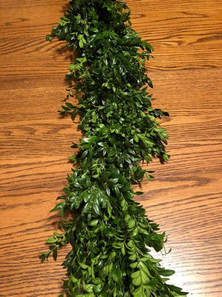 Boxwood Garland – The Garland Guy