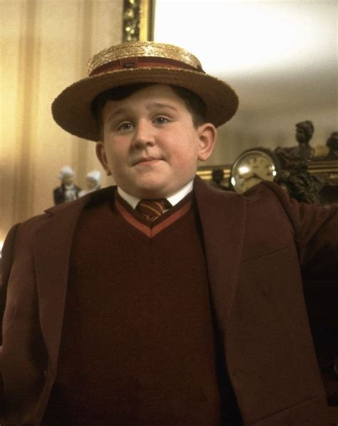 Dudley Dursley Harry Potter And The Chamber Of Secrets 2002 Harry