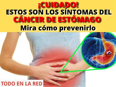 Cáncer De Estómago Síntomas Causas Y Cómo Prevenirlo Todo En La Red