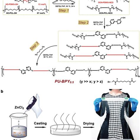 A Waxd Pattern And B Saxs Pattern Of The Pu‐bpy05zn Elastomer The Download Scientific