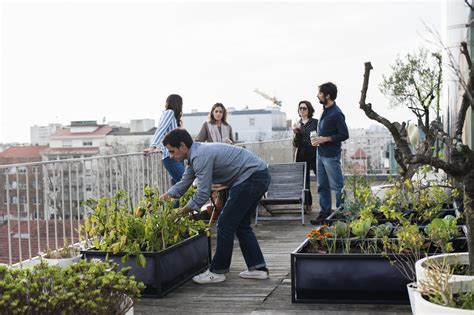 Agricultura Urbana Vertical La Arquitectura Del Futuro