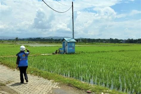 Kementan Upayakan Listrik Masuk Sawah Untuk Optimalkan Pompanisasi