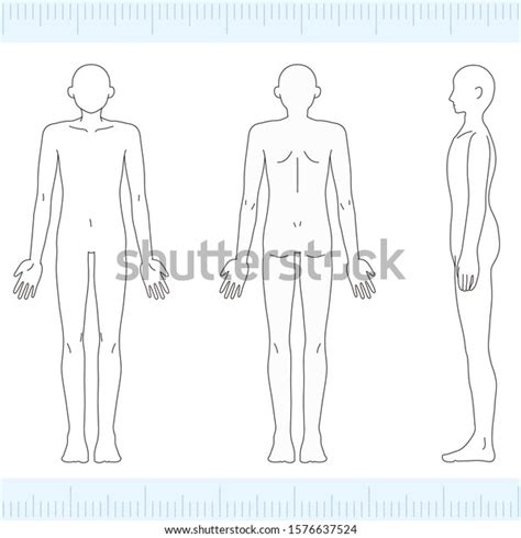 Male Medical Beauty Nude Nude Full Stock Vector Royalty Free Shutterstock