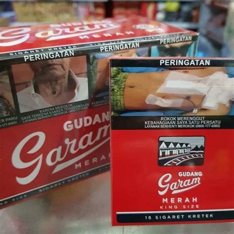 Jual Batang Jangan Gudang Garam Termurah Harga Grosir Terupdate Hari