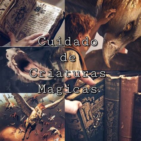 Cuidado De Criaturas Magicas Clase III Harry Potter Español Amino