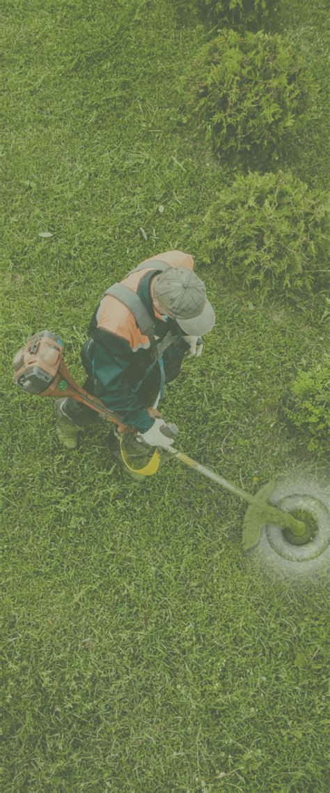 Expert Lawn & Yard Maintenance in West Michigan | West Michigan Grounds ...