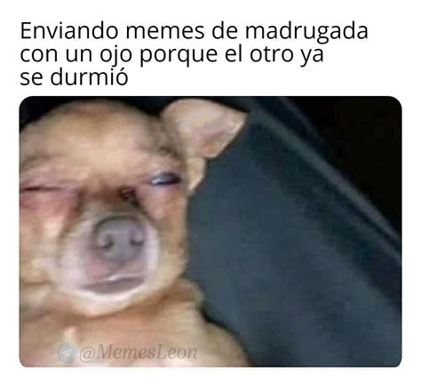 Enviando memes de madrugada con un ojo porque el otro ya se durmió Memes