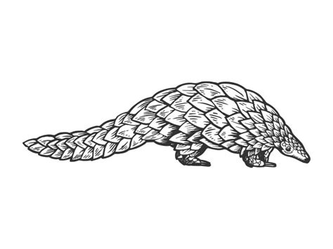 Cute pangolin cartoon Royalty Free Vector Image