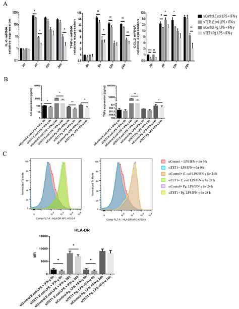 IJMS Free Full Text TET1 Knockdown Inhibits Porphyromonas