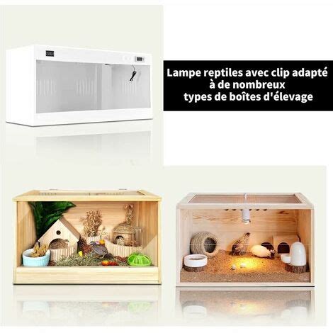 Kit Lampe Chauffante Tortue Terrestre Lampe Reptiles Chauffante Avec