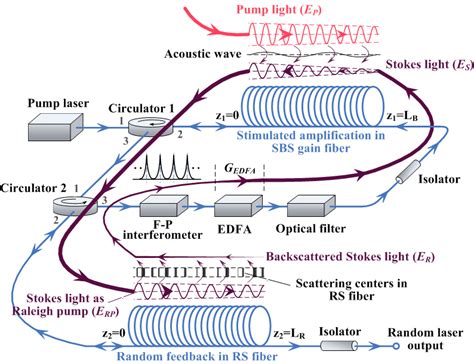 Operation Principle Of The Coherent Brillouin Random Fiber Laser