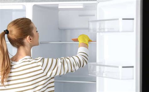 How Frequently Should You Clean Your Refrigerator Lifebei