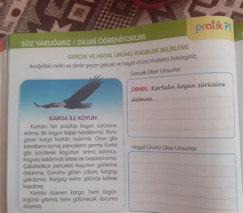 Acil Yaparmisiniz Lutfen Dalga Gecmeden Yapiniz Cok Onemli Hayal Unsur