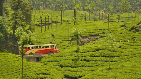 Kochi To Munnar Sightseeing Distance Travel Time And Tips Munnar Insider Travel Blog