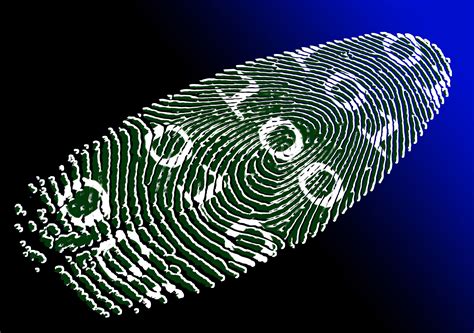Binary Digital Free Stock Photo - Public Domain Pictures