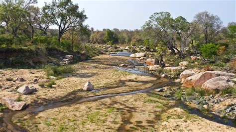 Sabie River Kruger National Park South Africa Stock Photo Image Of