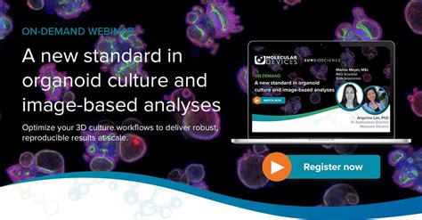 New standard in organoid culture and image-based analyses