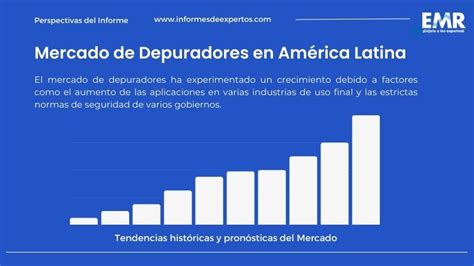 Mercado de Depuradores en América Latina Cuota Informe 2024 2032