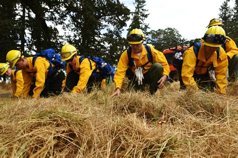 Training prepares Oregon Guardsmen for fighting fires > 142nd Wing > News