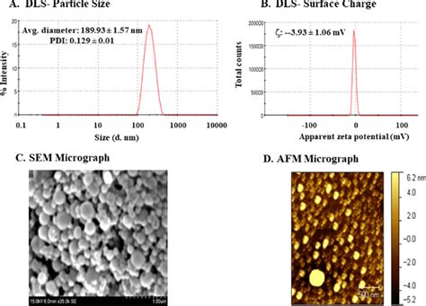 Physicochemical Characterization Of InAc NPs A Particle Size