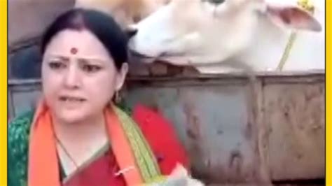 Video Bjp नेता ने पकड़ी गायों से भरी पकड़ी ट्रक Short Videos Aajtak