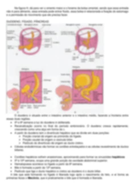 SOLUTION Embriologia Sistema digestório anterior Studypool