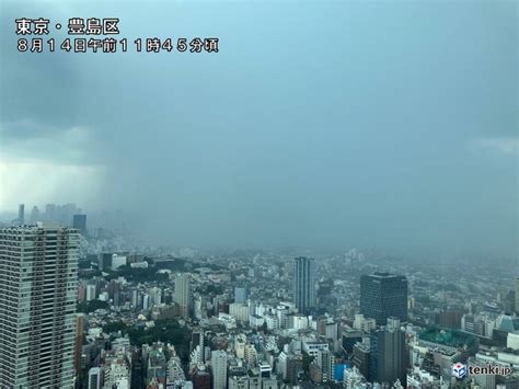 関東などで雨雲が発達中 関東～北海道中心に大気の状態不安定 ゲリラ豪雨に注意気象予報士 日直主任 2024年08月14日 日本気象協会