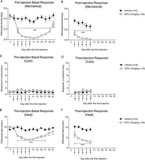 Development Of Mechanical And Heat Hypersensitivity Induced By