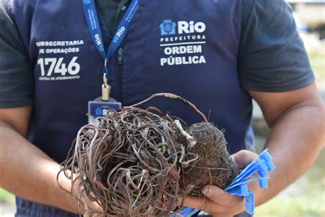 Seop Apreende Quilos De Cobre Em Ferro Velho Ilegal Na Lagoa