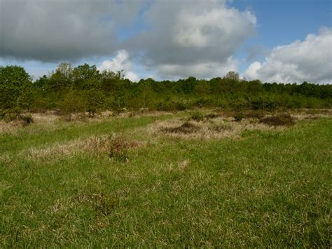 Pelouses Calcicoles Et Falaises Des Environs De Clamecy Les Habitats