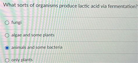 Solved What Sorts Of Organisms Produce Lactic Acid Via Fermentation Fungi Algae And Some