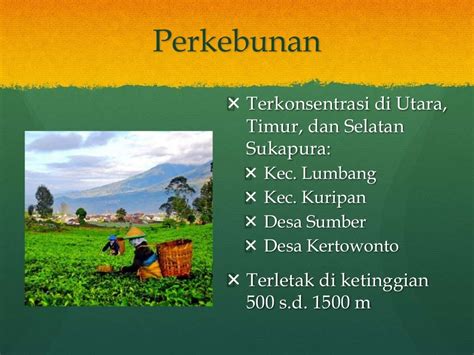 Geografi Pertanian Tipe Pertanian Potensi Degradasi Lahan Dan Kons