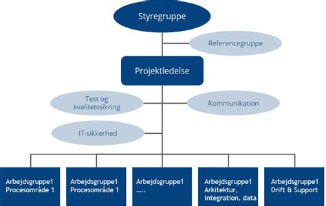 Projektorganisering ved IT projekter Gør det rigtigt fra starten