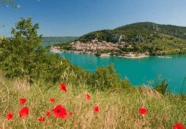 I PROFUMI DELLA PROVENZA E I COLORI DELLA CAMARGUE Agenzia Viaggi