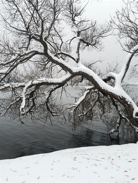 Hur mycket ska man behöva ta Anmälningar hot och trakasserier My