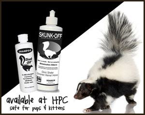 How to Remove the Skunk Smell from Dogs? - Harmony Pet Clinic